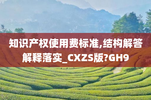 知识产权使用费标准,结构解答解释落实_CXZS版?GH9