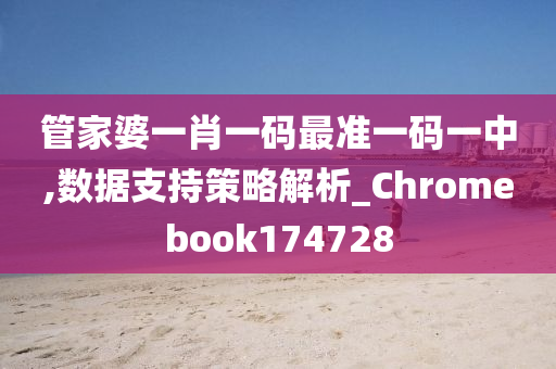 管家婆一肖一码最准一码一中,数据支持策略解析_Chromebook174728