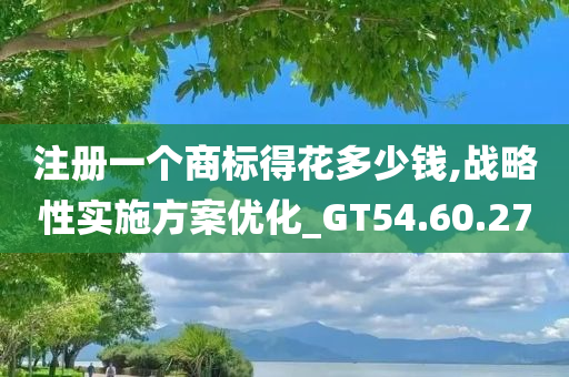 注册一个商标得花多少钱,战略性实施方案优化_GT54.60.27