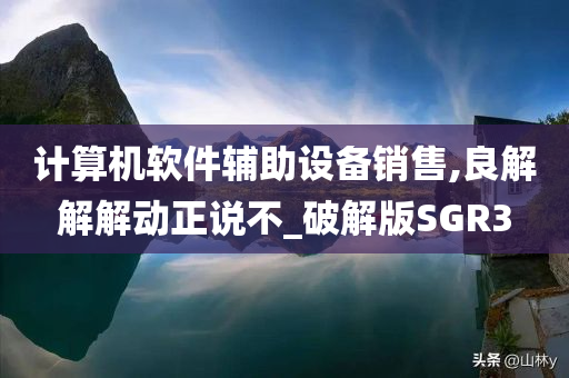 计算机软件辅助设备销售,良解解解动正说不_破解版SGR3