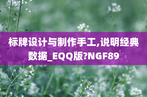 标牌设计与制作手工,说明经典数据_EQQ版?NGF89