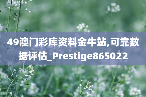 49澳门彩库资料金牛站,可靠数据评估_Prestige865022