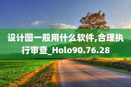 设计图一般用什么软件,合理执行审查_Holo90.76.28