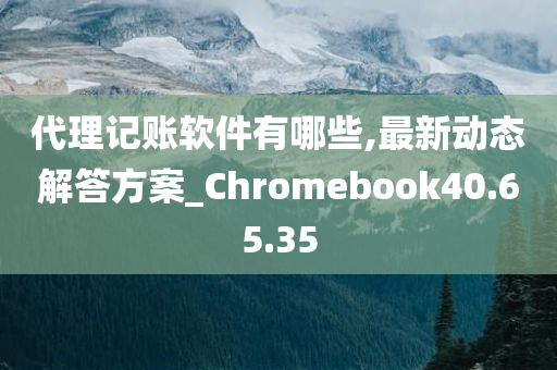 代理记账软件有哪些,最新动态解答方案_Chromebook40.65.35