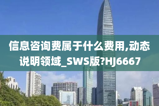 信息咨询费属于什么费用,动态说明领域_SWS版?HJ6667