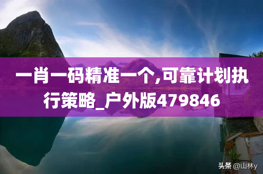 一肖一码精准一个,可靠计划执行策略_户外版479846