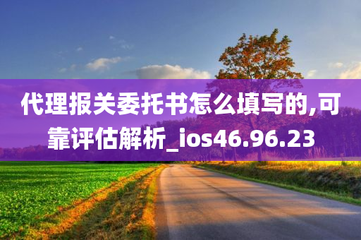 代理报关委托书怎么填写的,可靠评估解析_ios46.96.23