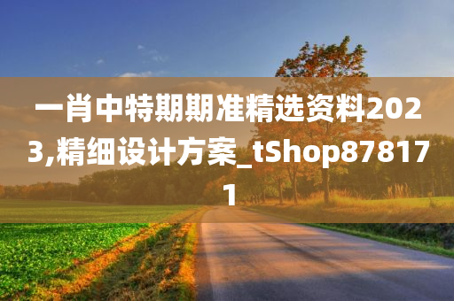 一肖中特期期准精选资料2023,精细设计方案_tShop878171