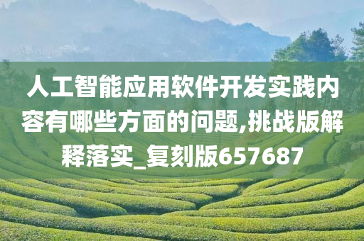 人工智能应用软件开发实践内容有哪些方面的问题,挑战版解释落实_复刻版657687