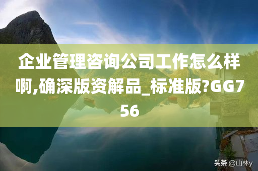 企业管理咨询公司工作怎么样啊,确深版资解品_标准版?GG756