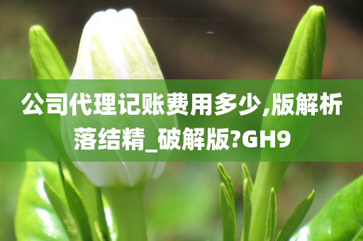 公司代理记账费用多少,版解析落结精_破解版?GH9