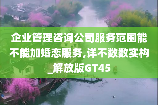 企业管理咨询公司服务范围能不能加婚恋服务,详不数数实构_解放版GT45