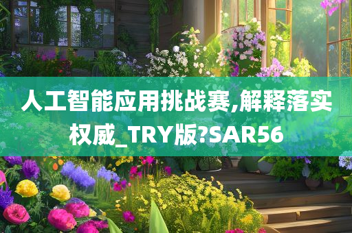 人工智能应用挑战赛,解释落实权威_TRY版?SAR56