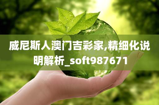 威尼斯人澳门吉彩家,精细化说明解析_soft987671