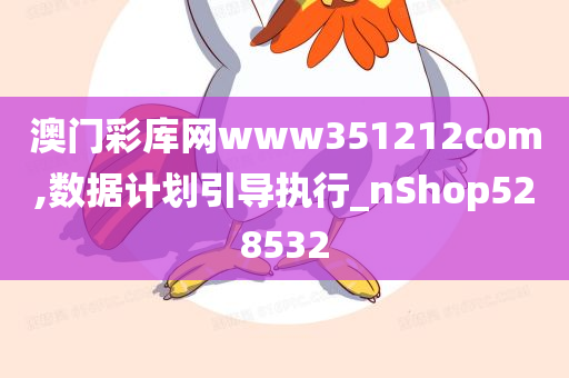 澳门彩库网www351212com,数据计划引导执行_nShop528532