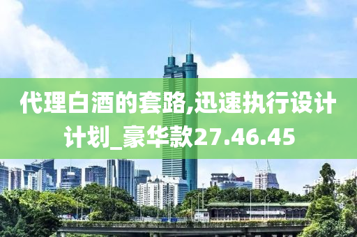 代理白酒的套路,迅速执行设计计划_豪华款27.46.45