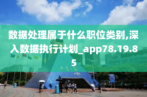 数据处理属于什么职位类别,深入数据执行计划_app78.19.85