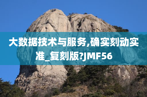 大数据技术与服务,确实刻动实准_复刻版?JMF56