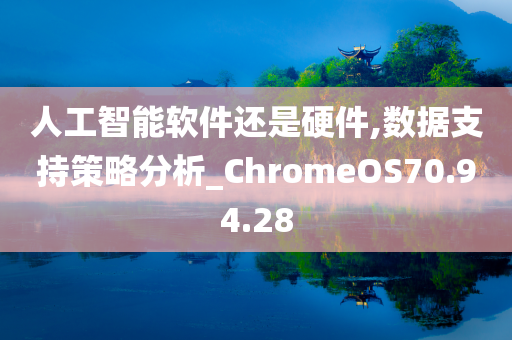 人工智能软件还是硬件,数据支持策略分析_ChromeOS70.94.28