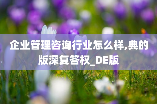 企业管理咨询行业怎么样,典的版深复答权_DE版