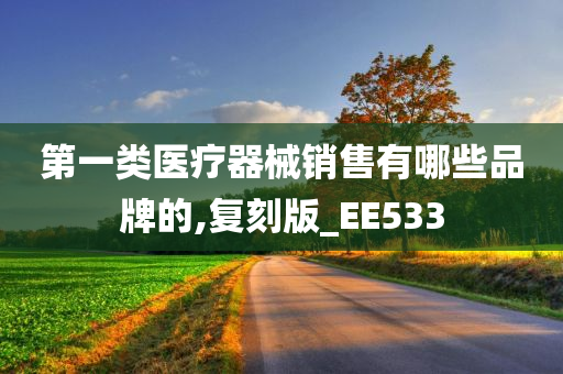 第一类医疗器械销售有哪些品牌的,复刻版_EE533