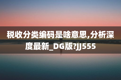 税收分类编码是啥意思,分析深度最新_DG版?JJ555