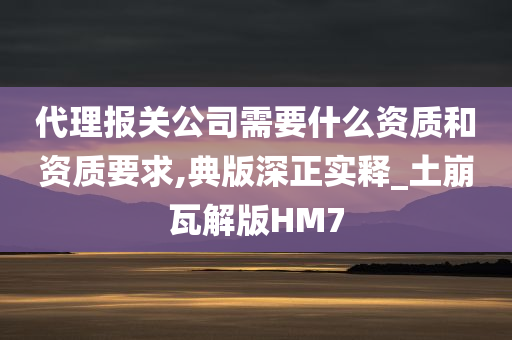 代理报关公司需要什么资质和资质要求,典版深正实释_土崩瓦解版HM7