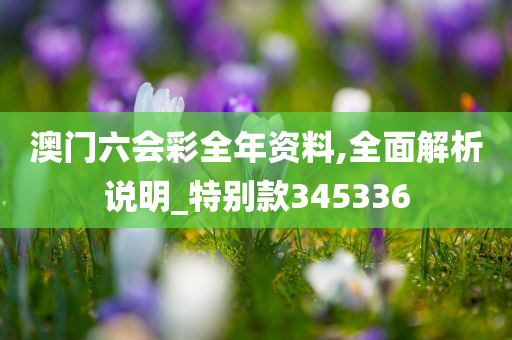 澳门六会彩全年资料,全面解析说明_特别款345336