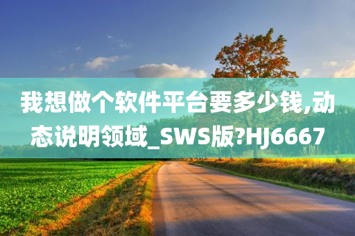 我想做个软件平台要多少钱,动态说明领域_SWS版?HJ6667