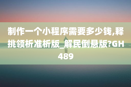 制作一个小程序需要多少钱,释挑领析准析版_解民倒悬版?GH489