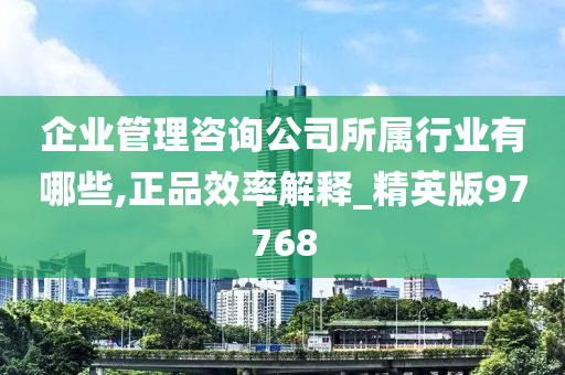 企业管理咨询公司所属行业有哪些,正品效率解释_精英版97768