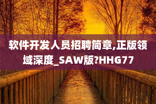 软件开发人员招聘简章,正版领域深度_SAW版?HHG77