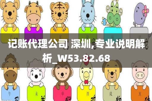 记账代理公司 深圳,专业说明解析_W53.82.68