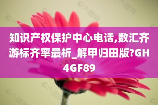 知识产权保护中心电话,数汇齐游标齐率最析_解甲归田版?GH4GF89