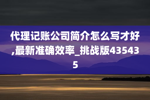 代理记账公司简介怎么写才好,最新准确效率_挑战版435435