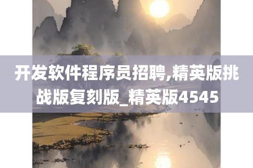 开发软件程序员招聘,精英版挑战版复刻版_精英版4545