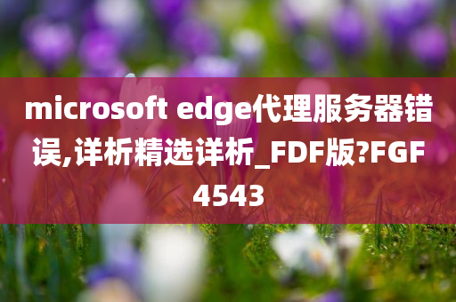 microsoft edge代理服务器错误,详析精选详析_FDF版?FGF4543