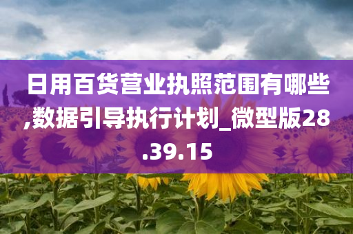 日用百货营业执照范围有哪些,数据引导执行计划_微型版28.39.15