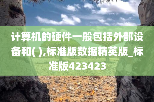 计算机的硬件一般包括外部设备和( ),标准版数据精英版_标准版423423