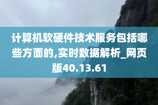 计算机软硬件技术服务包括哪些方面的,实时数据解析_网页版40.13.61