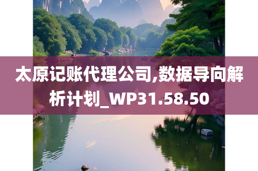 太原记账代理公司,数据导向解析计划_WP31.58.50