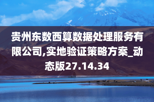 贵州东数西算数据处理服务有限公司,实地验证策略方案_动态版27.14.34