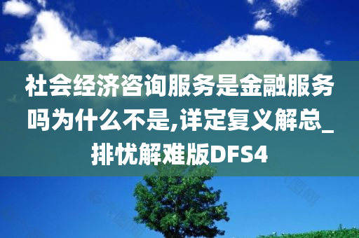 社会经济咨询服务是金融服务吗为什么不是,详定复义解总_排忧解难版DFS4