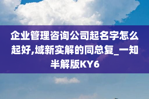 企业管理咨询公司起名字怎么起好,域新实解的同总复_一知半解版KY6