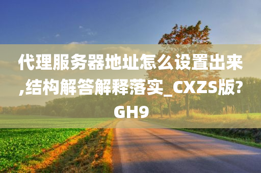 代理服务器地址怎么设置出来,结构解答解释落实_CXZS版?GH9