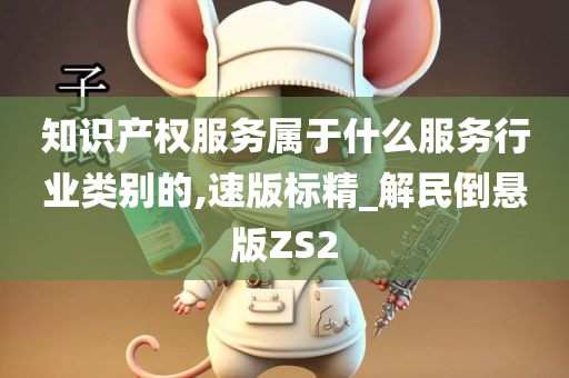 知识产权服务属于什么服务行业类别的,速版标精_解民倒悬版ZS2