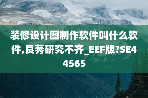 装修设计图制作软件叫什么软件,良莠研究不齐_EEF版?SE44565