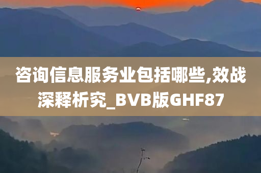 咨询信息服务业包括哪些,效战深释析究_BVB版GHF87