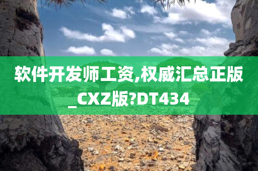 软件开发师工资,权威汇总正版_CXZ版?DT434