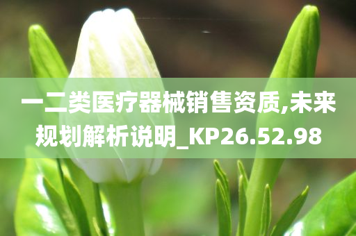 一二类医疗器械销售资质,未来规划解析说明_KP26.52.98